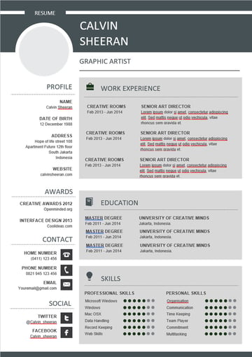 professional resume